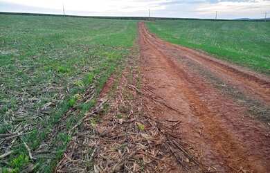 Imagem 4: Linda fazenda na agricultura em Taquarituba - SP