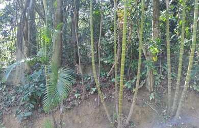 Imagem: O terreno possui 367m² de Área e está localizado em Transurb