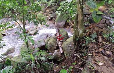 Imagem 8: Terreno à venda, 360 m² - Park Imperial - Caraguatatuba/SP