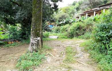 Imagem 6: Terreno a 60 Passos da Areia da Praia Grande em Ilhabela