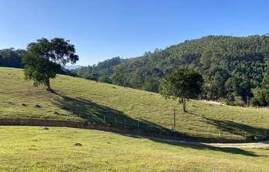Imagem 10: Lote/Terreno para venda com 5000 metros quadrados em Zona Rural - Nazaré...