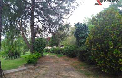 Imagem 7: Sítio rural à venda, Sitios Farm, Porto Feliz