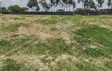 Imagem 4: Terreno à venda, 300 m² por R$ 220.000,00 - Vila Guedes - Jaguariúna/SP