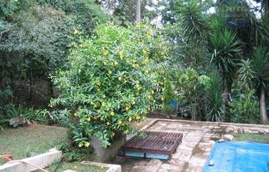 Imagem 4: Chácara à venda, 4000 m² por R$ 580.000,00 - Eldorado - Itu/SP