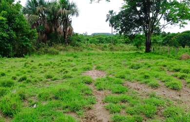 Imagem 9: Sítio para venda na Jangada Roncador