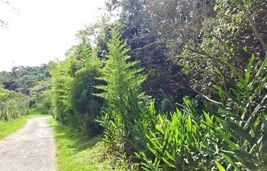 Imagem 1: Terreno à venda, 5324 m² por R$ 468.000,00 - Granja Viana - Cotia/SP