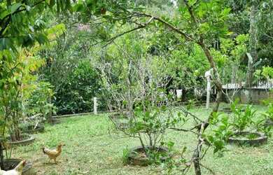 Imagem 11: Chácara para venda ou permuta por casa em Itanhaém gaivotas