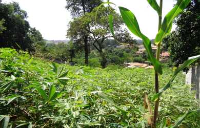 Imagem 4: Terreno à venda 1000M², LOTEAMENTO SANTA ROSA, JUNDIAÍ - SP