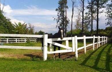 Imagem 14: Sítio rural à venda, Sitios Farm, Porto Feliz