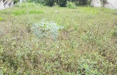 Imagem 4: Lote com vista panorâmica à venda em condomínio de Arujá