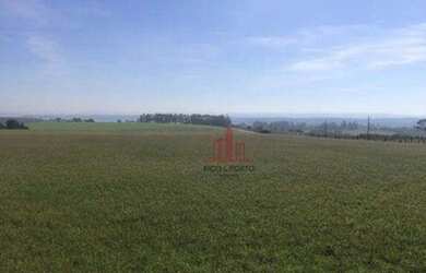 Imagem 3: Fazenda à venda, 1597200 m² por R$ 14.000.000,00 - Paranapanema - Paranapanema/SP