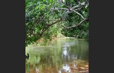 Imagem 8: Sítio para venda na Jangada Roncador