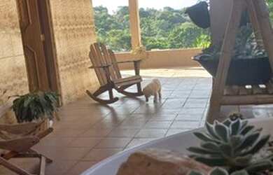 Imagem: A fazenda possui 325m² de Área e está localizado em Real