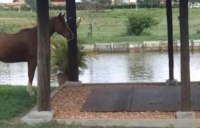 Imagem 4: Lote/Terreno para venda com 1000 metros quadrados em Residencial Fazenda...