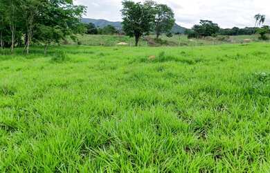 Imagem: A chácara possui 1.000m² de Área e está localizado em Centro