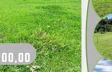 Imagem: O terreno está localizado em Centro, Guarulhos à venda por