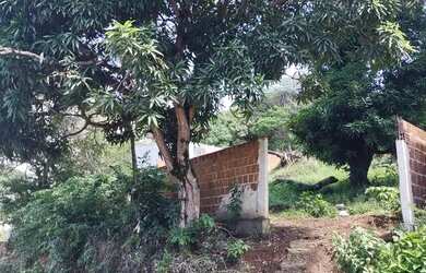 Imagem: O terreno está localizado em Águas Compridas, Olinda à venda