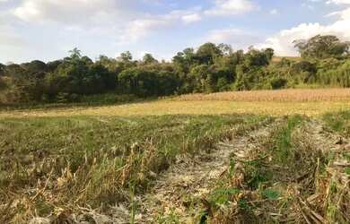 Imagem: O terreno possui 500m² de Área e está localizado em Usina