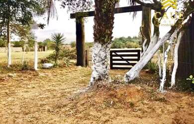 Imagem 1: Baita terreno 2453m², com lindo mato nativo e luz na frente