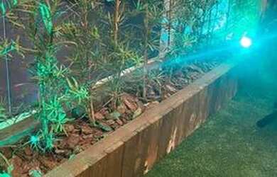 Imagem 8: Vendo ou arrendo restaurante japonês