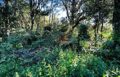 Imagem 6: Terreno à Venda em Gramado