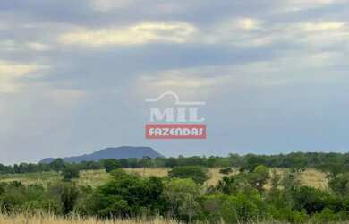 Imagem: A fazenda possui 500m² de Área e está localizado em Colinas