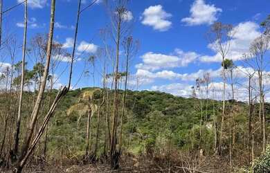 Imagem 2: Natureza e Paz: Seu Terreno de 1000m² em Ibiúna. R$ 57.900