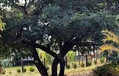 Imagem: O terreno possui 1.000m² de Área e está localizado em Jaboticatubas