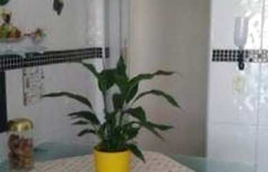 Imagem 12: Apartamento à venda, 88 m² por R$ 335.000,00 - Encruzilhada - Santos/SP