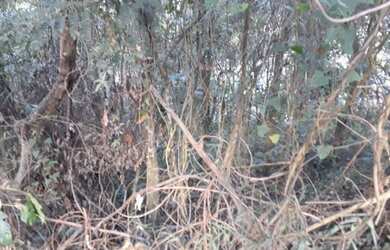 Imagem 3: Lote Terreno para venda em condomínio Arujá 5 Arujá