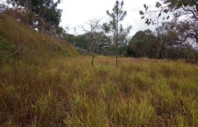 Imagem 8: oportunidade terreno com uma vista toda para represa