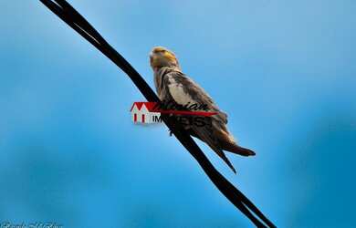 Imagem 5: terreno de esquina 100 metros da praia em Peruibe 250m2 na Mirian Imóveis...