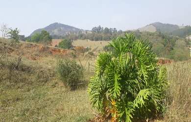 Imagem 6: Terreno para venda no bairro Morro Grande da Boa Vista em Bragança Paulista...