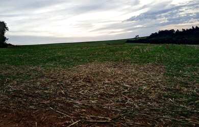 Imagem 11: Linda fazenda na agricultura em Taquarituba - SP