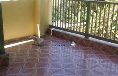 Imagem: A casa possui 2 Dormitórios, 2 Banheiros, 1 Vaga na garagem