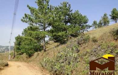 Imagem 4: Lotes a venda. 7.941m² de Área