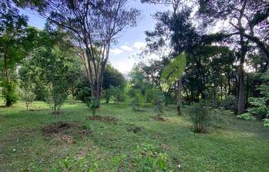 Imagem 4: Linda chácara à venda em condomínio cercado pela natureza