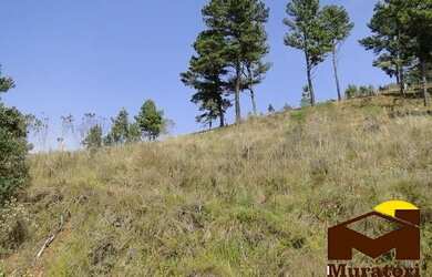 Imagem 3: Lotes a venda. 7.941m² de Área