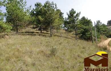 Imagem 15: Lotes a venda. 7.941m² de Área