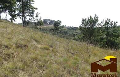 Imagem 11: Lotes a venda. 7.941m² de Área