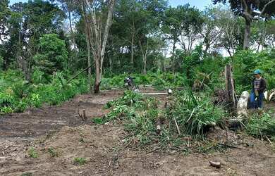 Imagem 6: Terreno no pajuçara. 