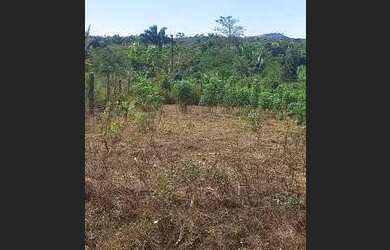 Imagem 1: Lote palmares 2. 40m² de Área