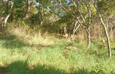 Imagem: O terreno está localizado em Anápolis, GO à venda por R$20.000