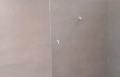 Imagem 10: Apartamento Charqueadas Caxias do Sul