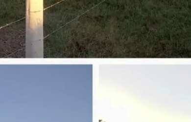 Imagem 16: Vende-se ou Aluga-se Chácara em São Marcos