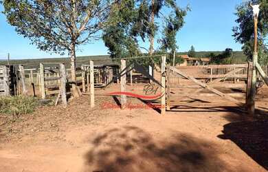 Imagem: A fazenda possui 100m² de Área e está localizado em Senador