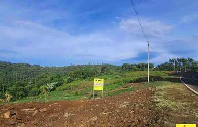Imagem 5: Terreno para Venda em Nova Petrópolis, Linha Olinda