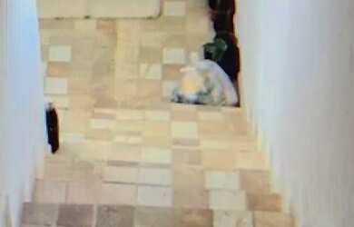 Imagem 2: Apartamentos para aluguei