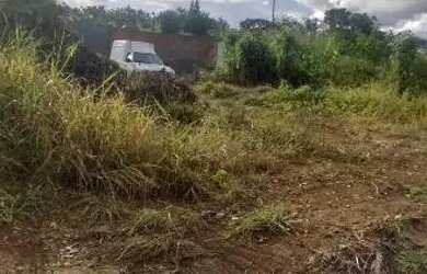 Imagem 4: Vendo meio lote. 80m² de Área