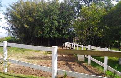 Imagem 12: Sítio rural à venda, Sitios Farm, Porto Feliz